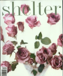 shelter
